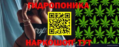 прущий лед Изобильный