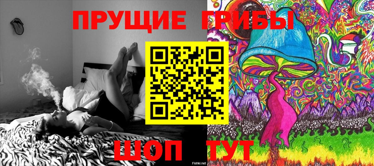 Ижевск  Галлюциногенные грибы Cubensis  Вход с VPN 